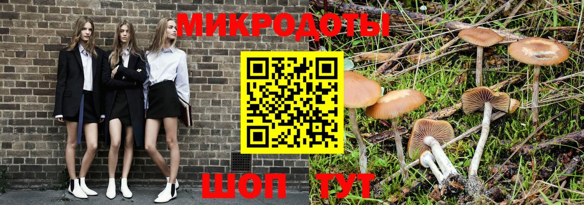 Пенза  Псилоцибиновые грибы MAGIC MUSHROOMS  Вход с VPN 