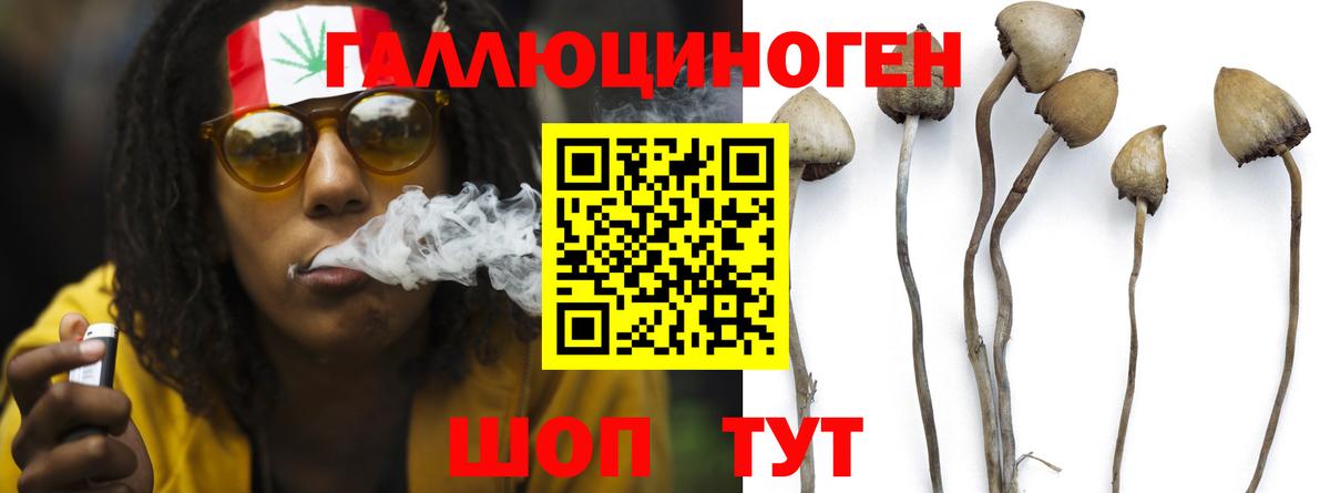 Галлюциногенные грибы GOLDEN TEACHER Пенза